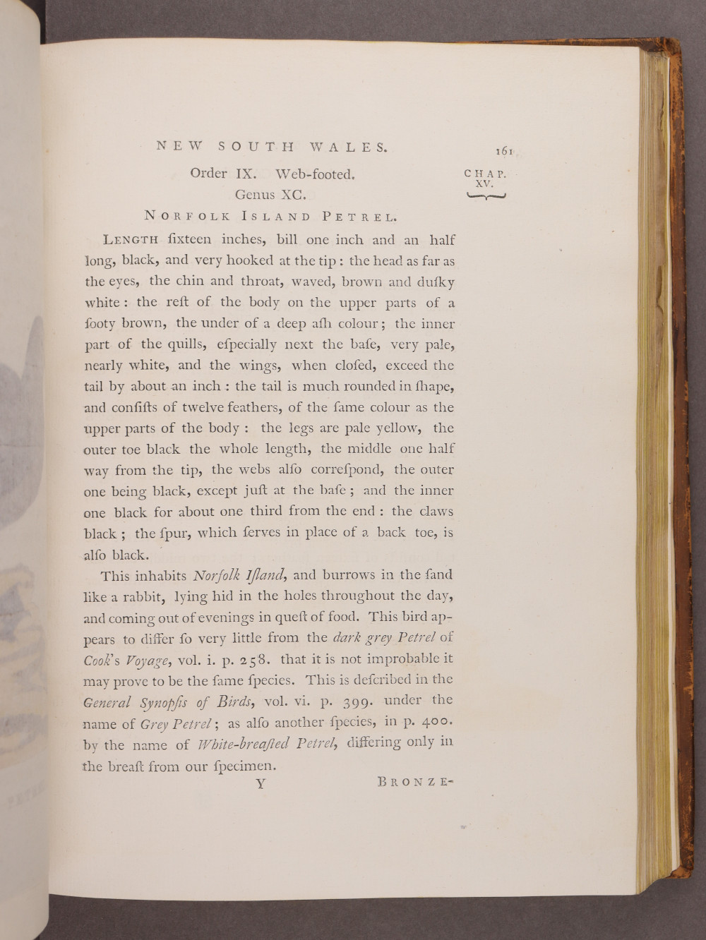 Page 161